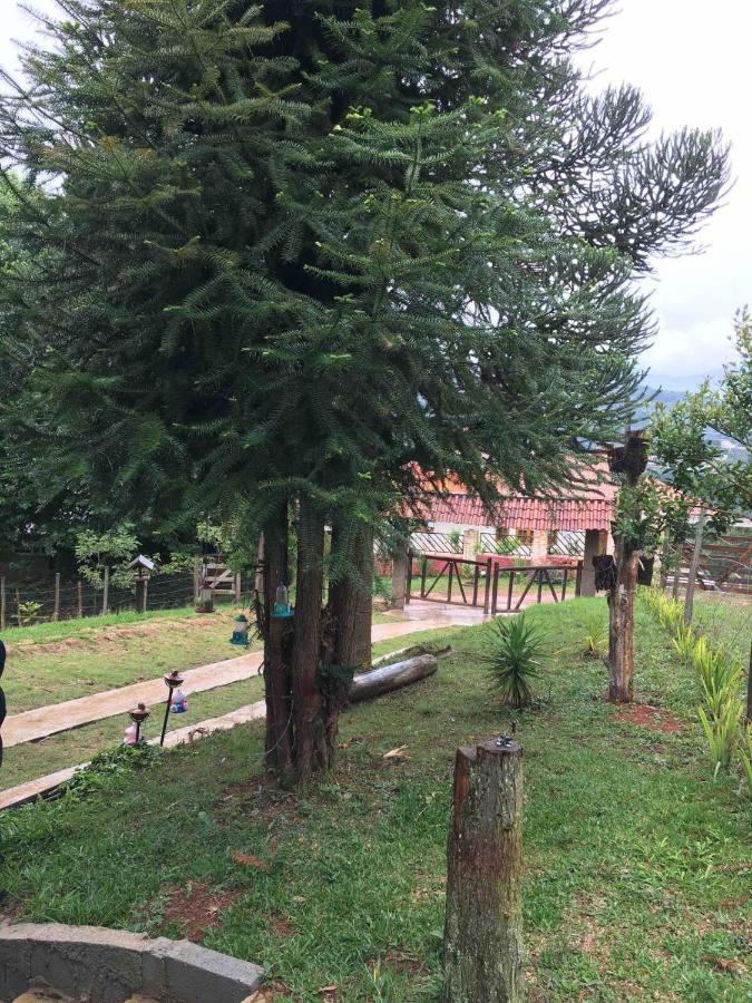 Casa De Campo Em Monte Verde , Linda Vista Para Montanhas Eksteriør billede